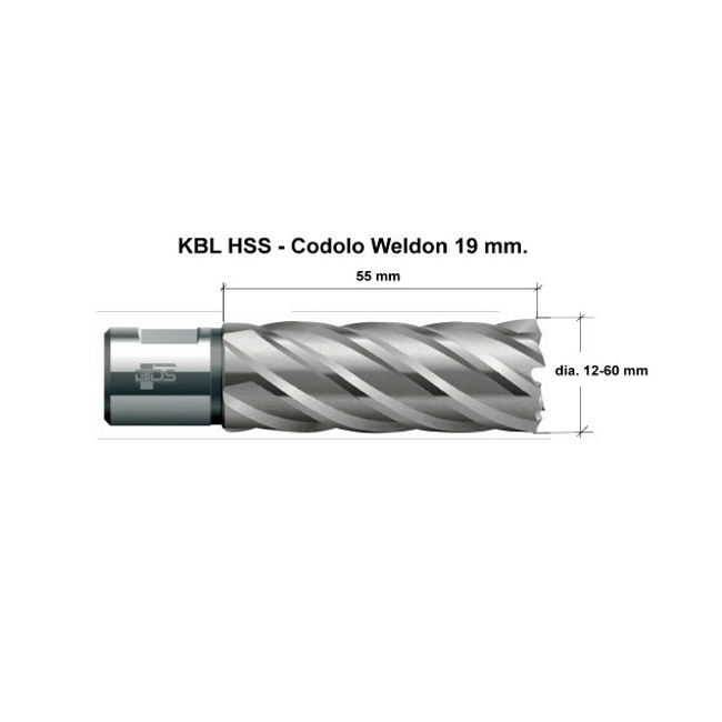 Vendita online Fresa lunga a Corona in acciaio HSS Weldon 19 mm.